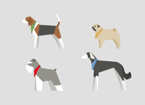 Dog Breeds: Bandanas For Beagles, Schnauzers, Pugs & Salukis - Amber Lupo Dog Breeds: Bandanas For Beagles, Schnauzers, Pugs & Salukis - Amber Lupo